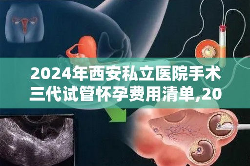 2024年西安私立医院手术三代试管怀孕费用清单,2024西安私立医院三代试管手术费用明细揭晓