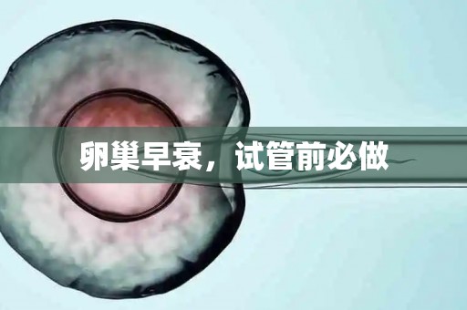 卵巢早衰，试管前必做