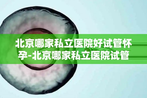 北京哪家私立医院好试管怀孕-北京哪家私立医院试管怀孕技术领先？
