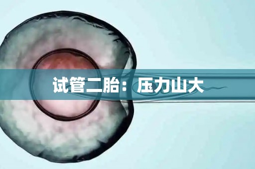 试管二胎：压力山大