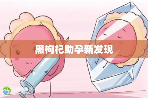 黑枸杞助孕新发现 黑枸杞助孕新发现