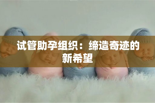 试管助孕组织：缔造奇迹的新希望