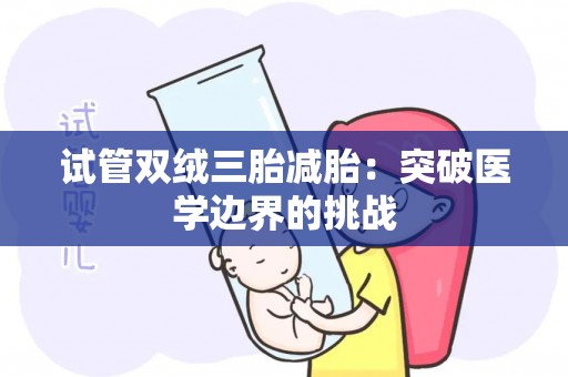 试管双绒三胎减胎：突破医学边界的挑战