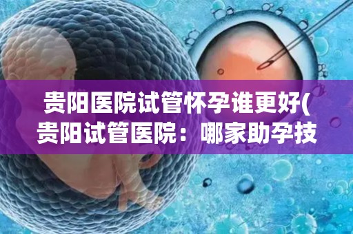 贵阳医院试管怀孕谁更好(贵阳试管医院：哪家助孕技术更胜一筹？)