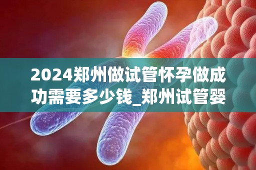 2024郑州做试管怀孕做成功需要多少钱_郑州试管婴儿费用2024：成功怀孕花费揭秘