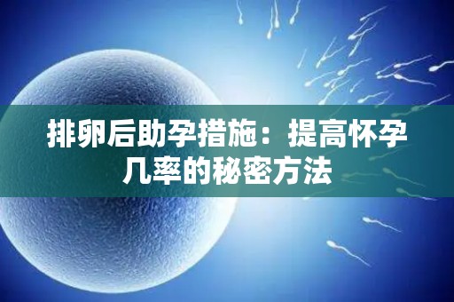 排卵后助孕措施：提高怀孕几率的秘密方法