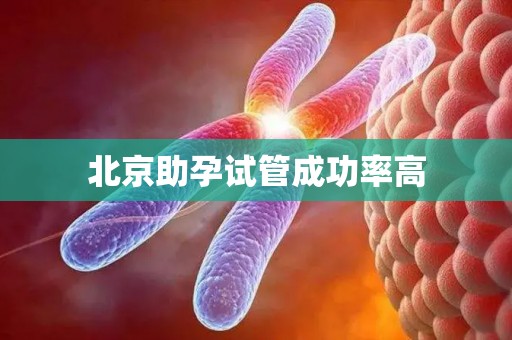 北京助孕试管成功率高