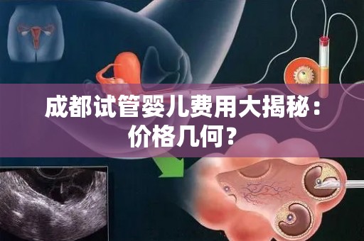 成都试管婴儿费用大揭秘：价格几何？