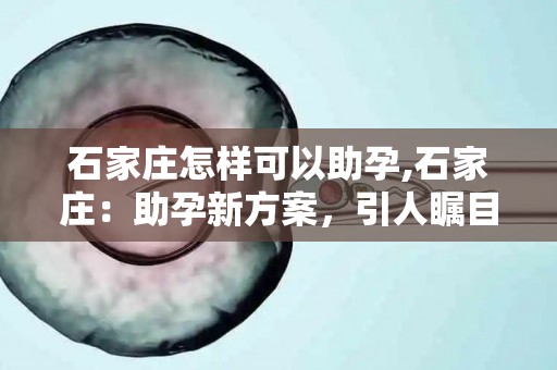 石家庄怎样可以助孕,石家庄：助孕新方案，引人瞩目