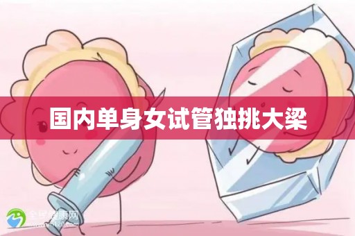 国内单身女试管独挑大梁