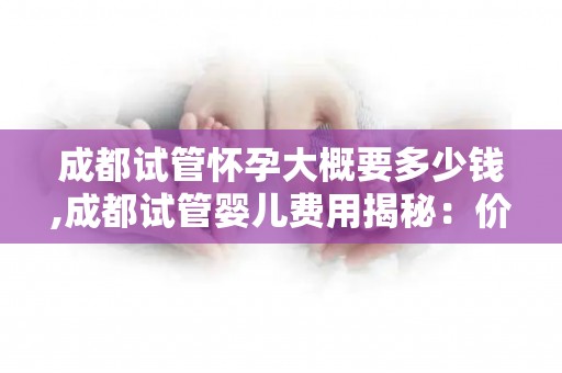 成都试管怀孕大概要多少钱,成都试管婴儿费用揭秘：价格几何？