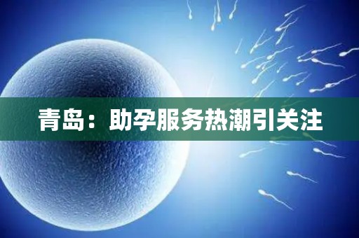 青岛:助孕服务热潮引关注 青岛:助孕服务热潮引关注