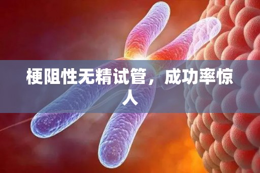 梗阻性无精试管,成功率惊人 梗阻性无精试管,成功率惊人