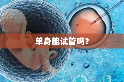 单身能试管吗? 单身能试管吗?