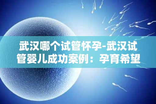 武汉哪个试管怀孕-武汉试管婴儿成功案例:孕育希望的新生命 武汉哪个试管怀孕-武汉试管婴儿成功案例:孕育希望的新生命