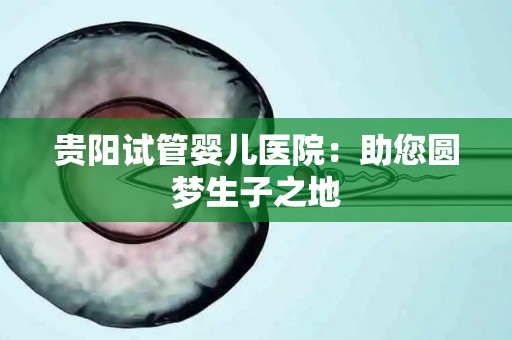 贵阳试管婴儿医院:助您圆梦生孩子之地 贵阳试管婴儿医院:助您圆梦生孩子之地