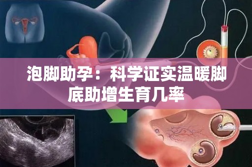 泡脚助孕:科学证实温暖脚底助增生育几率 泡脚助孕:科学证实温暖脚底助增生育几率