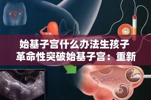 始基子宫什么办法生孩子 革命性突破始基子宫：重新定义生育方式