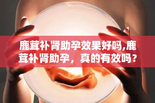 鹿茸补肾助孕效果好吗,鹿茸补肾助孕，真的有效吗？