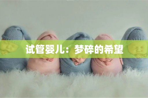 试管婴儿:梦碎的希望 试管婴儿:梦碎的希望