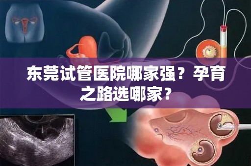 东莞试管医院哪家强？孕育之路选哪家？