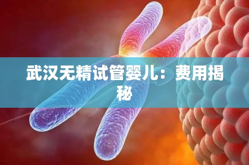 武汉无精试管婴儿：费用揭秘