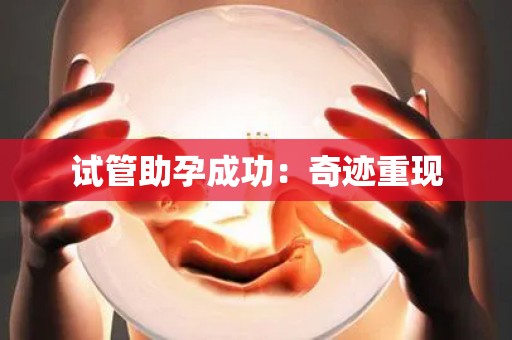 试管助孕成功：奇迹重现