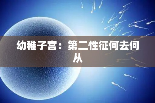 幼稚子宫：第二性征何去何从