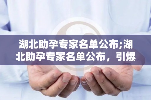 湖北助孕专家名单公布;湖北助孕专家名单公布，引爆热议