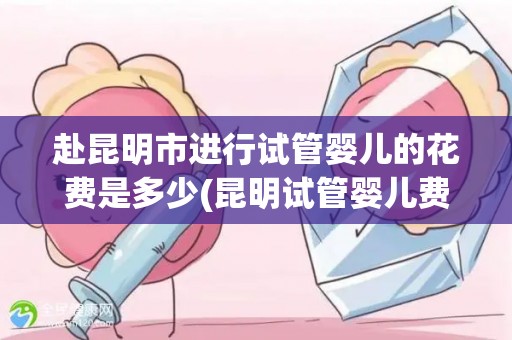 赴昆明市进行试管婴儿的花费是多少(昆明试管婴儿费用揭秘：一窥生育成本真相)