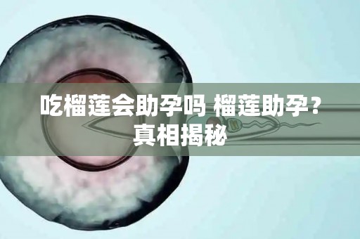 吃榴莲会助孕吗 榴莲助孕？真相揭秘