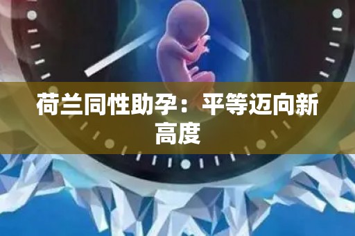 荷兰同性助孕：平等迈向新高度