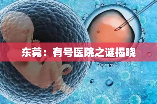 东莞：有号医院之谜揭晓