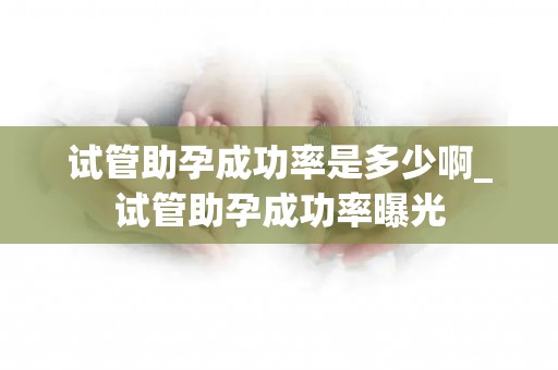 试管助孕成功率是多少啊_试管助孕成功率曝光