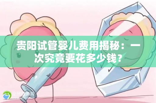 贵阳试管婴儿费用揭秘：一次究竟要花多少钱？