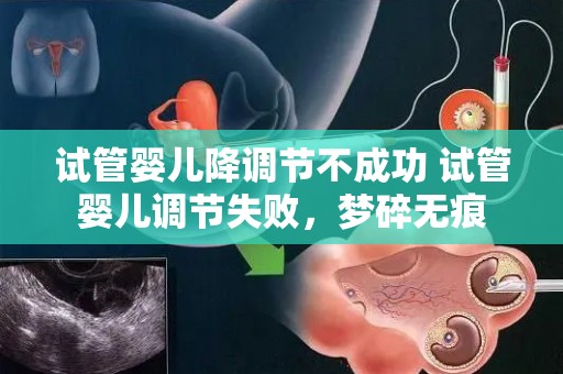 试管婴儿降调节不成功 试管婴儿调节失败,梦碎无痕 试管婴儿降调节不成功 试管婴儿调节失败,梦碎无痕