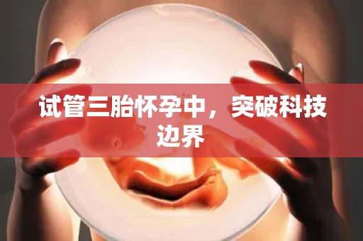 试管三胎怀孕中，突破科技边界