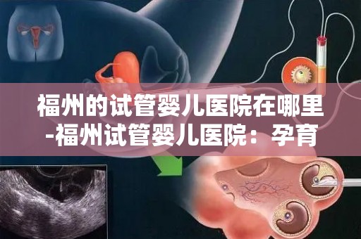福州的试管婴儿医院在哪里-福州试管婴儿医院：孕育希望之地揭晓
