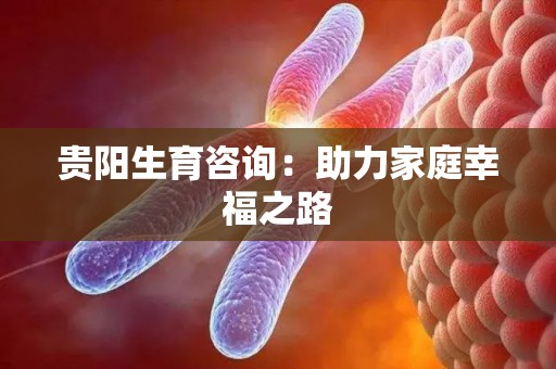 贵阳生育咨询:助力家庭幸福之路 贵阳生育咨询:助力家庭幸福之路