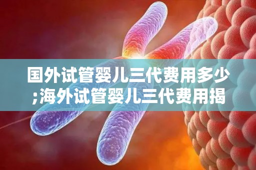 国外试管婴儿三代费用多少;海外试管婴儿三代费用揭秘：价格几何？”