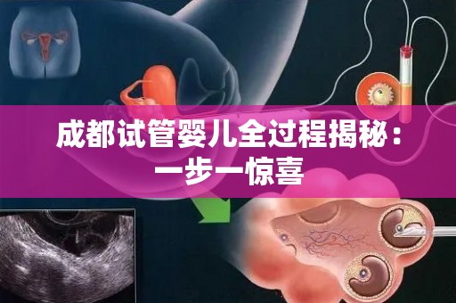 成都试管婴儿全过程揭秘:一步一惊喜 成都试管婴儿全过程揭秘:一步一惊喜