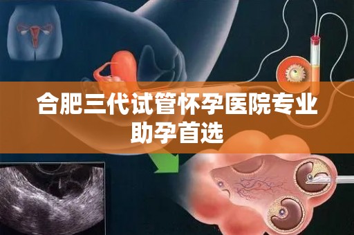 合肥三代试管怀孕医院专业助孕首选 合肥三代试管怀孕医院专业助孕首选
