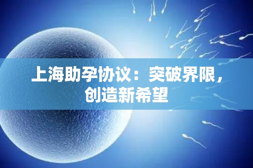 上海助孕协议：突破界限，创造新希望