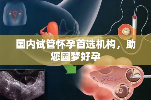 国内试管怀孕首选机构，助您圆梦好孕