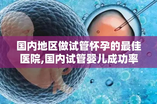 国内地区做试管怀孕的最佳医院,国内试管婴儿成功率最高的医院盘点