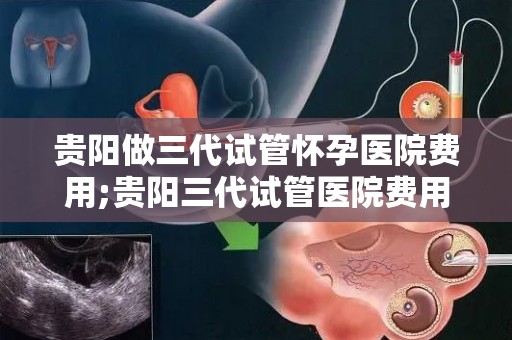 贵阳做三代试管怀孕医院费用;贵阳三代试管医院费用揭秘：价格透明化