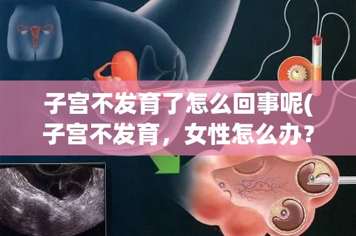 子宫不发育了怎么回事呢(子宫不发育，女性怎么办？)