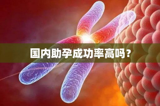 国内助孕成功率高吗？