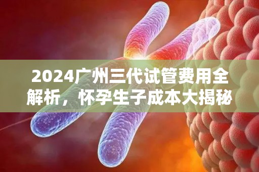 2024广州三代试管费用全解析，怀孕生孩子成本大揭秘