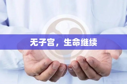 无子宫，生命继续